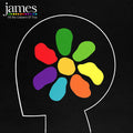 James - All The Colours Of You 2LP ( VINYL )