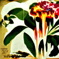 Jungle - Good Times / Problemz LP (RSD Exclusive) ( VINYL )