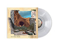 Dave Matthews Band - Walk Around The Moon LP (Indie Exclusive Clear Vinyl) ( VINYL )