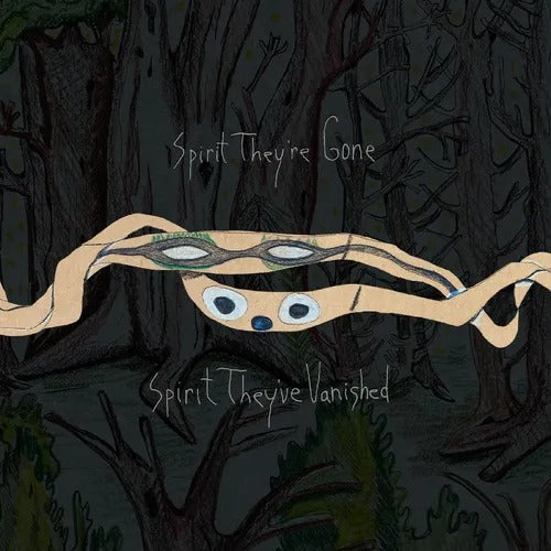 Animal Collective - Spirit LP (Green Vinyl) ( VINYL )