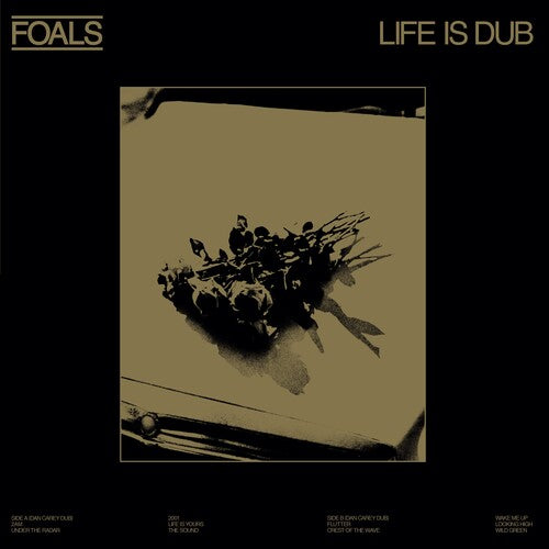 Foals - Life Is Dub LP (RSD Exclusive) ( VINYL )