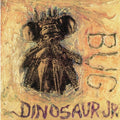 Dinosaur Jr. - Bug CD (Explicit Lyrics) ( VINYL )