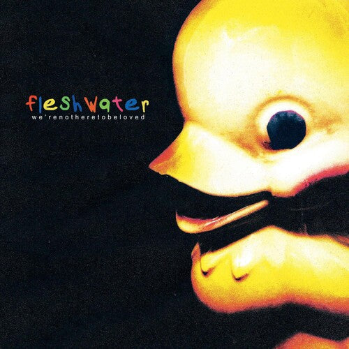 Fleshwater - We're Not Here To Be Loved CD ( VINYL )