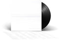 Foo Fighters - But Here We Are LP ( VINYL )
