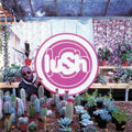 Lush - Lovelife LP (2023 Remaster) ( VINYL )