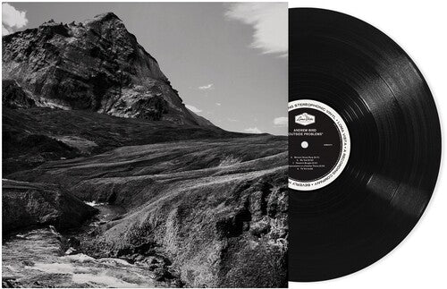 Andrew Bird - Outside Problems LP ( VINYL )