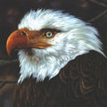 Mogwai - The Hawk Is Howling 2LP (White Colored Vinyl, Limited Edition) ( VINYL )