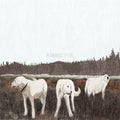 Foxing - The Albatross: Ten Years LP (Brown Colored Vinyl) ( VINYL )