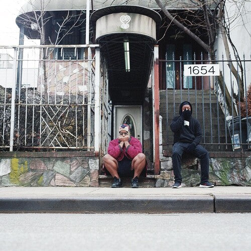 Armand Hammer - We Buy Diabetic Test Strips 2LP (Limited Edition, Purple Colored Vinyl) ( VINYL )
