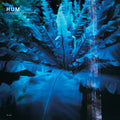 Hum - Downward Is Heavenward CD (Reissue) ( VINYL )