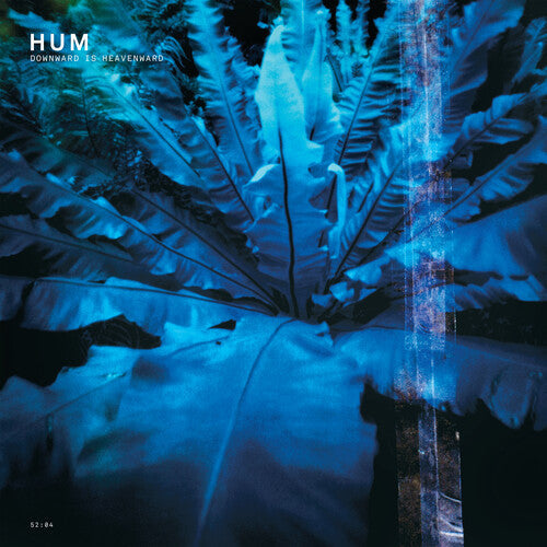 Hum - Downward Is Heavenward CD (Reissue) ( VINYL )