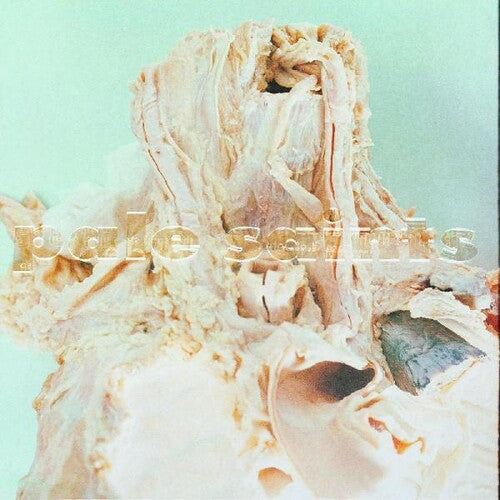 Pale Saints - In Ribbons 2LP (Deluxe Edition, Gatefold LP Jacket) ( VINYL )