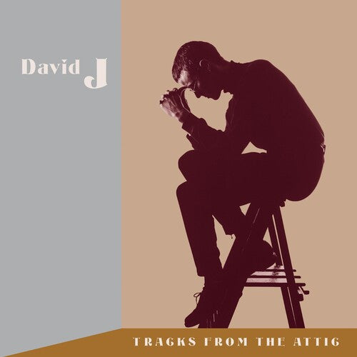 David J - Tracks From The Attic 3LP (RSD Exclusive) ( VINYL )