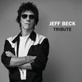 Jeff Beck - Tribute LP (RSD Exclusive) ( VINYL )