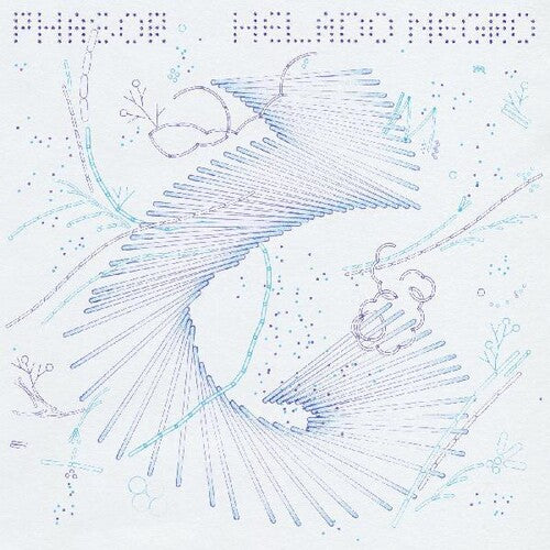Helado Negro - Phasor LP ( VINYL )