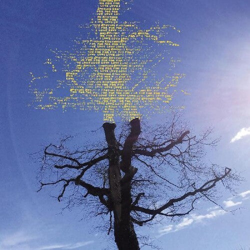Laetitia Sadier - Rooting For Love LP ( VINYL )