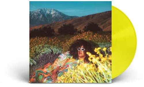 Brittany Howard - What Now LP (Colored Vinyl) ( VINYL )