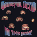 Grateful Dead - In The Dark LP ( VINYL )