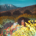 Brittany Howard - What Now LP ( VINYL )