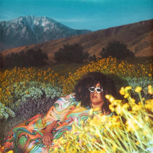 Brittany Howard - What Now LP ( VINYL )
