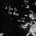 Ghost Funk Orchestra - A Trip To The Moon LP (Seaglass and Black Swirl Vinyl) ( VINYL )
