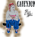 Calexico - Feast of Wire 2LP (Bonus Track Version) ( VINYL )
