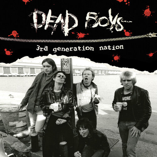 Dead Boys - 3rd Generation Nation Cassette ( VINYL )