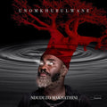 Nduduzo Makhathini - uNomkhubulwane 2LP ( VINYL )