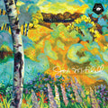 Joni Mitchell - The Asylum Albums (1976-1980) 6LP (Box Set) ( VINYL )
