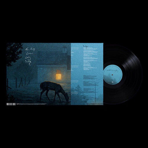 Dermot Kennedy - I've Told The Trees Everything LP (United Kingdom - Import) ( VINYL )