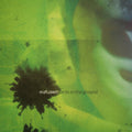 Eiafuawn - Birds in the Ground CD ( VINYL )