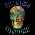Bill Callahan - Resuscitate 2LP ( VINYL )