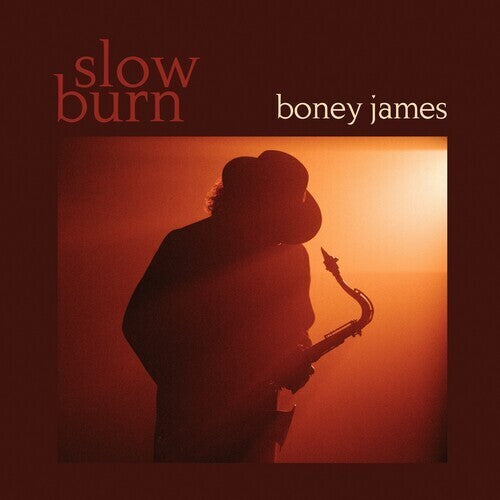 Boney James - Slow Burn LP ( VINYL )