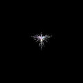 Karen O & Danger Mouse - Lux Prima LP ( VINYL )