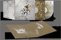 Jelly Roll - Beautifully Broken LP (Parental Advisory Explicit Lyrics, Indie Exclusive, Clear & Gold Splatter Vinyl) ( VINYL )