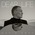 David Gray - Dear Life CD ( VINYL )