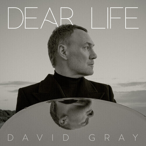 David Gray - Dear Life CD ( VINYL )