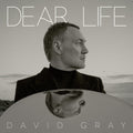 David Gray - Dear Life LP (Seaweed Green Colored Vinyl) ( VINYL )
