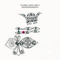 Father John Misty - Mahashmashana CD ( VINYL )