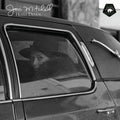 Joni Mitchell - Hejira Demos LP (RSD Exclusive, 180 Gram Vinyl) ( VINYL )