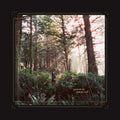 Haley Heynderickx - Seed Of A Seed LP ( VINYL )