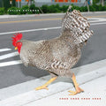 Julian Mayorga - Chak Chak Chak Chak LP ( VINYL )