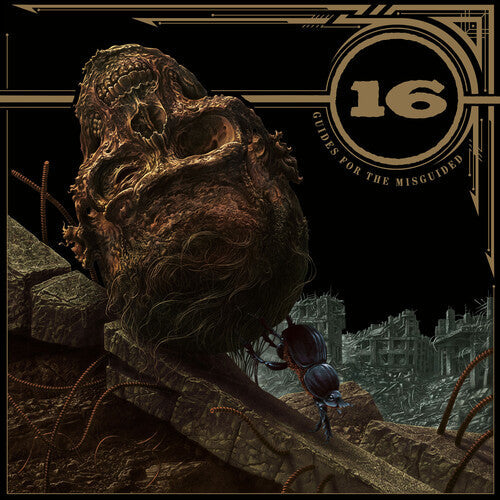 16 - Guides For The Misguided LP ( VINYL )