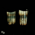 Divide and Dissolve - Insatiable CD ( VINYL )