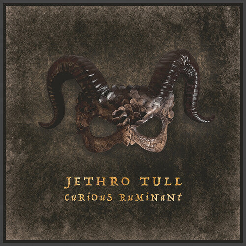 Jethro Tull - Curious Ruminant CD ( VINYL )