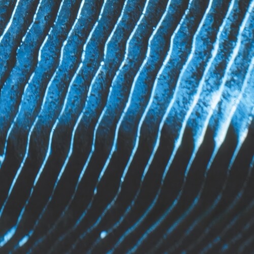 Monolake - Gravity 2LP ( VINYL )