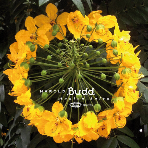 Harold Budd - Avalon Sutra 3LP (Limited Edition, Bonus Cd) ( VINYL )