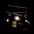 Beirut - A Study of Losses CD ( VINYL )