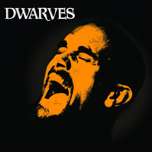 Dwarves - Rex Everything LP ( VINYL )