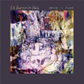 Ed Kuepper - After The Flood CD (Australia - Import) ( VINYL )